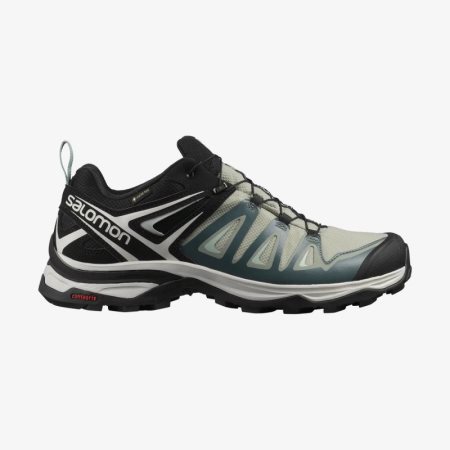 salomon gtx 3